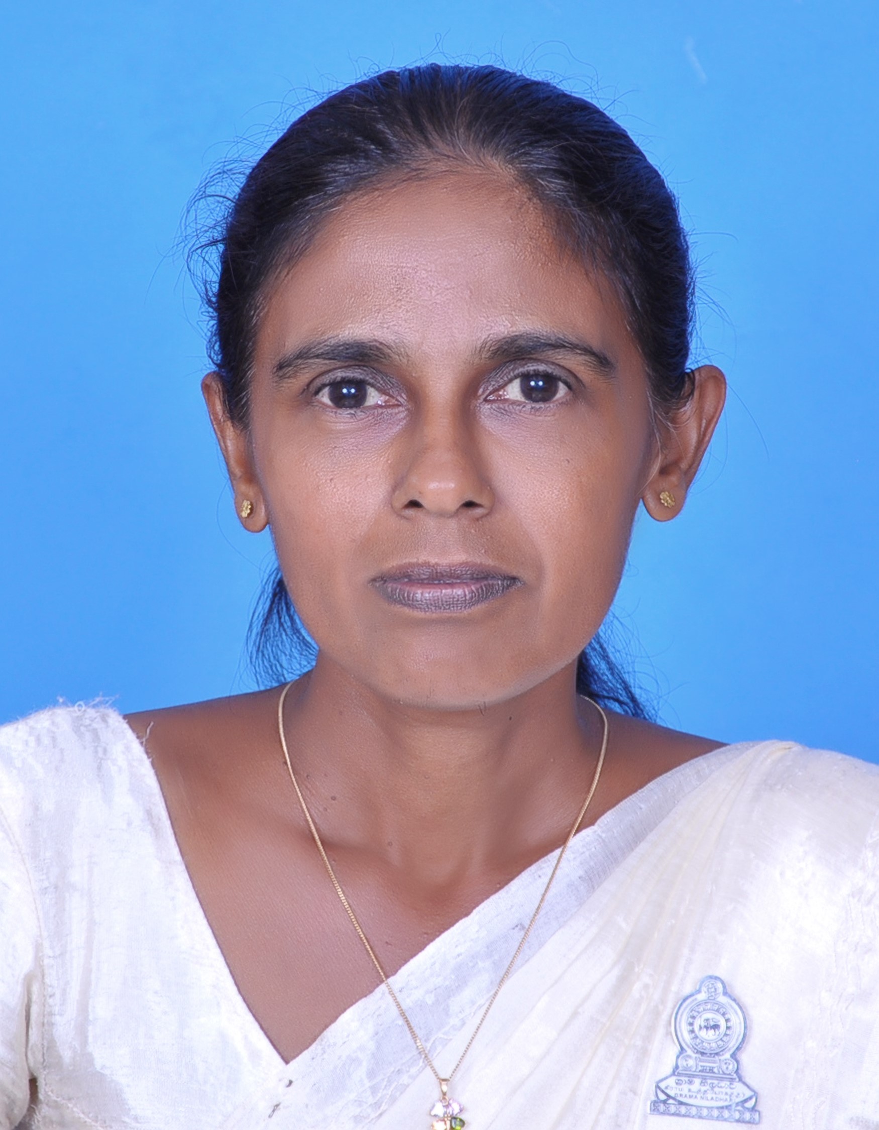DSC 0660 2