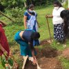 Environment Day - 2022